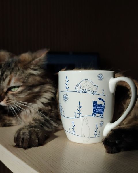 Чашка з синіми котами 400мл 5994 фото