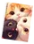 Блокноти