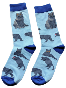 Шкарпетки блакитні високі з Британцем One size 36-43 розмір 877 фото
